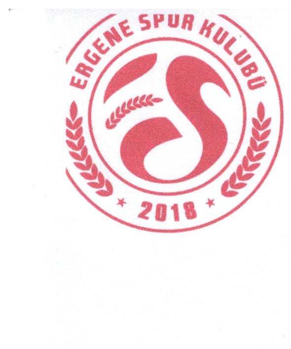 Ergene Spor Logo